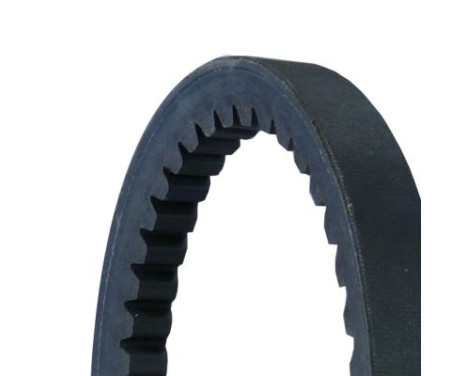 Courroie trapézoïdale AVX17X1040 Contitech