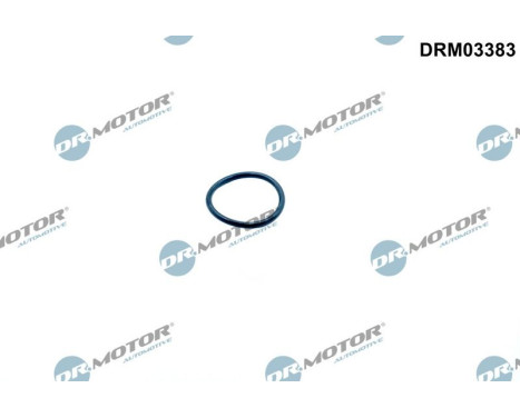 Bague d'étanchéité, tendeur de chaîne de distribution
