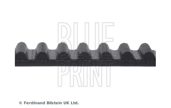 Courroie crantée ADC47552 Blue Print, Image 4