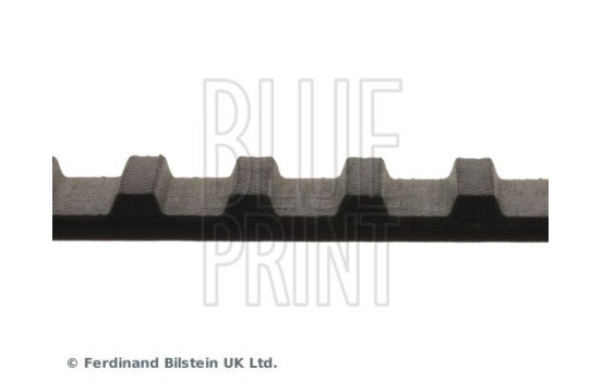 Courroie crantée ADH27505 Blue Print, Image 4