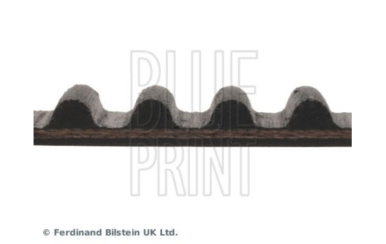 Courroie crantée ADH27517 Blue Print, Image 4