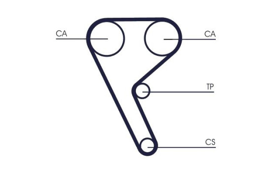 Courroie crantée CT1157 Contitech, Image 3