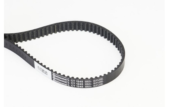 Courroie crantée CT1245 Contitech, Image 3