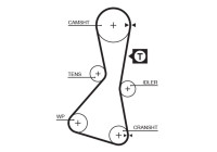 courroie de distribution 5060XS Gates