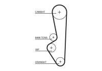 courroie de distribution 5094XS Gates