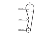 courroie de distribution 5127 Gates