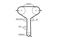 courroie de distribution 5259XS Gates
