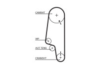 courroie de distribution 5428XS Gates