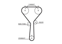 courroie de distribution 5487XS Gates