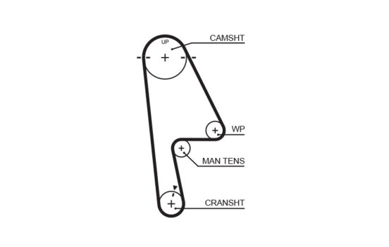 courroie de distribution 5529XS Gates, Image 2