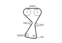 courroie de distribution 5534XS Gates