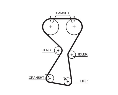 courroie de distribution 5534XS Gates