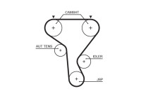 courroie de distribution 5573XS Gates