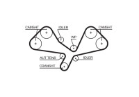 courroie de distribution 5605XS Gates