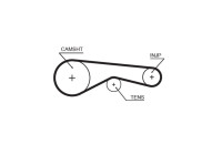 courroie de distribution 5625XS Gates