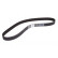 courroie de distribution CT1099 Contitech