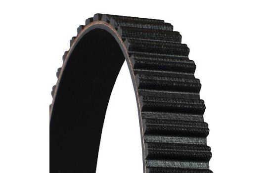courroie de distribution CT1135 Contitech, Image 3