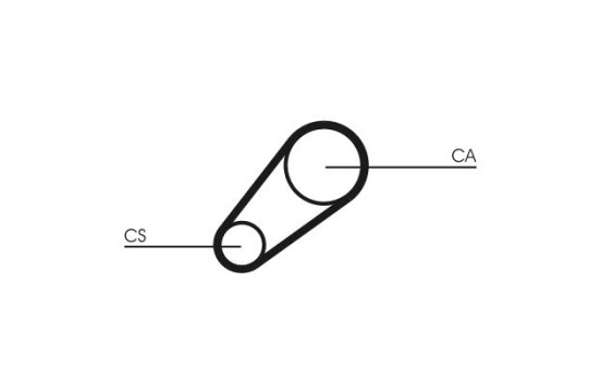 courroie de distribution CT648 Contitech, Image 3