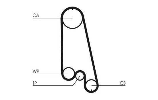 courroie de distribution CT874 Contitech, Image 3
