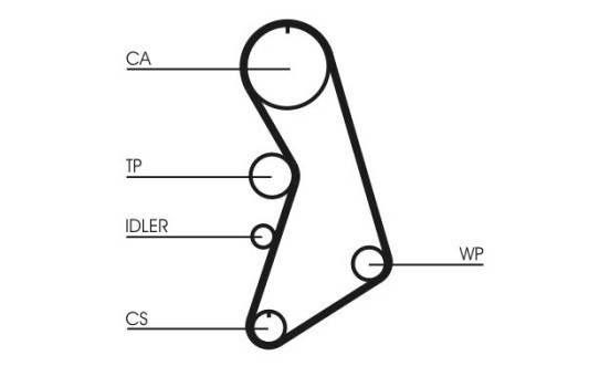courroie de distribution CT909 Contitech, Image 4