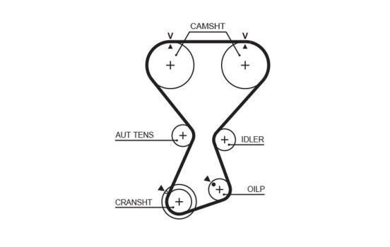 courroie de distribution T313 Gates, Image 2