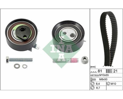 Kit de distribution 530006210 Ina