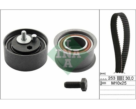 Kit de distribution 530017810 Ina