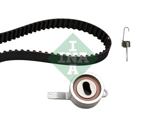 Kit de distribution 530031310 Ina