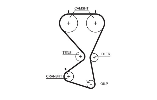 Kit de distribution PowerGrip® K025556XS Gates, Image 2
