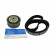 Kit de distribution VKMA 01024 SKF