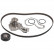 Pompe à eau + kit de courroie de distribution 172599 FEBI