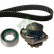 Pompe à eau + kit de courroie de distribution 530020630 Ina, Vignette 2
