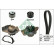 Pompe à eau + kit de courroie de distribution 530044030 Ina, Vignette 2