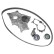 Pompe à eau + kit de courroie de distribution ADT373752 Blue Print