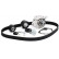 Pompe à eau + kit de courroie de distribution CT1130WP2 Contitech