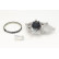 Pompe à eau + kit de courroie de distribution CT1195WP1 Contitech, Vignette 3