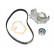 Pompe à eau + kit de courroie de distribution CT709WP1 Contitech