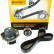 Pompe à eau + kit de courroie de distribution CT968WP1 Contitech