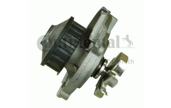 Pompe à eau + kit de courroie de distribution CT973WP1 Contitech, Image 3