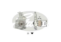 Pompe à eau + kit de courroie de distribution PowerGrip® KP15434XS Gates