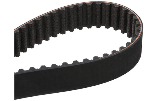 Pompe à eau + kit de courroie de distribution PowerGrip® KP25491XS Gates, Image 6