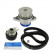 Pompe à eau + kit de courroie de distribution VKMC 01110 SKF