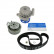 Pompe à eau + kit de courroie de distribution VKMC 01113-2 SKF