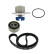 Pompe à eau + kit de courroie de distribution VKMC 03100 SKF