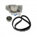 Pompe à eau + kit de courroie de distribution VKMC 03201-1 SKF