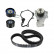 Pompe à eau + kit de courroie de distribution VKMC 03314 SKF