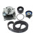 Pompe à eau + kit de courroie de distribution VKMC 04214-1 SKF