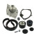 Pompe à eau + kit de courroie de distribution VKMC 06104 SKF