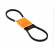 Courroie trapézoïdale AVX13X750 Contitech