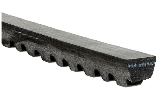 Courroie trapézoïdale FleetRunner? V-Belt AVX10x775HD Gates, Image 2
